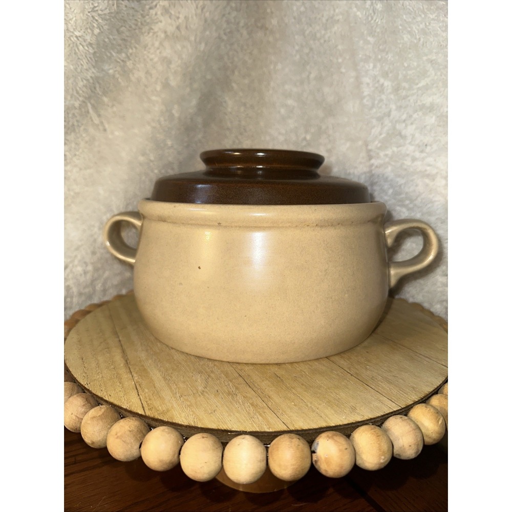 Stoneware - Hearthside Pot with Lid Hand Painted Ovenproof  Japan